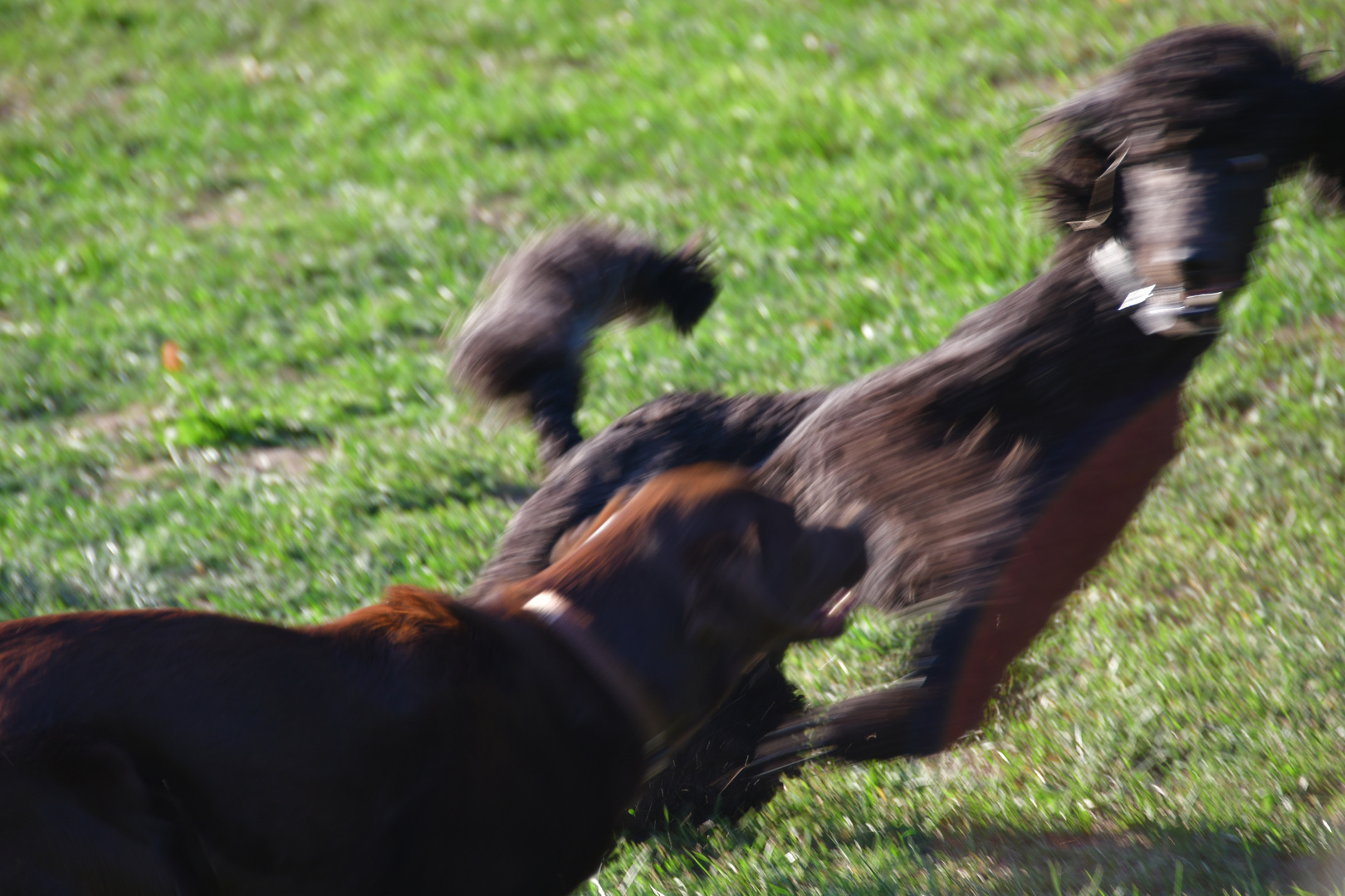 High Speed  - Alex und Paula