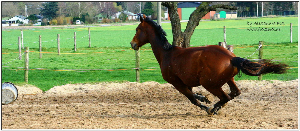 High speed apport: ACHTUNG KURVE !!!