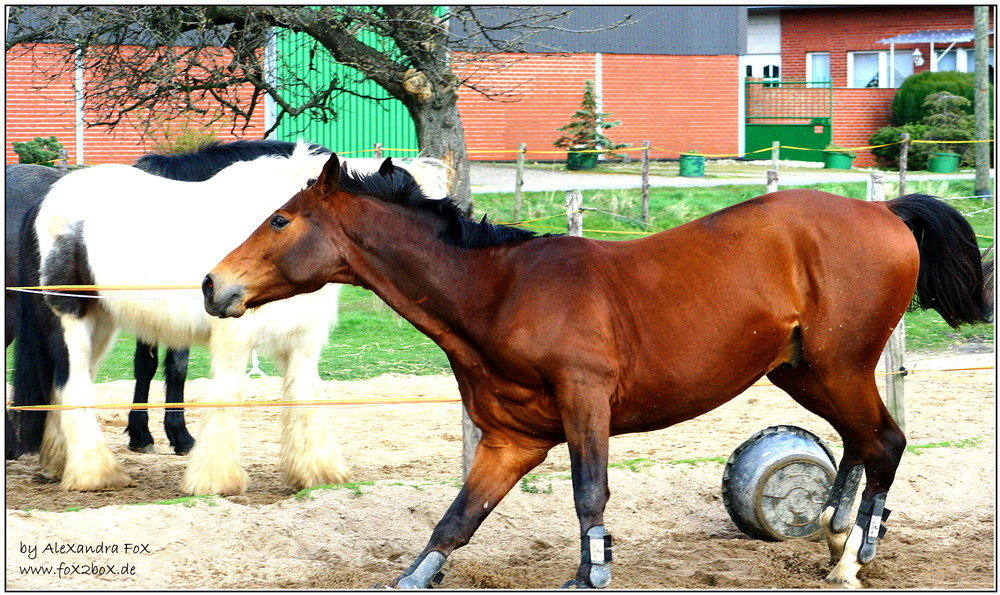 High-speed apport: STOPP !!!