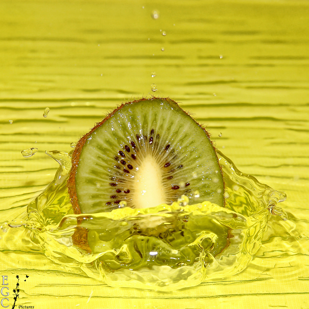 High speed kiwi