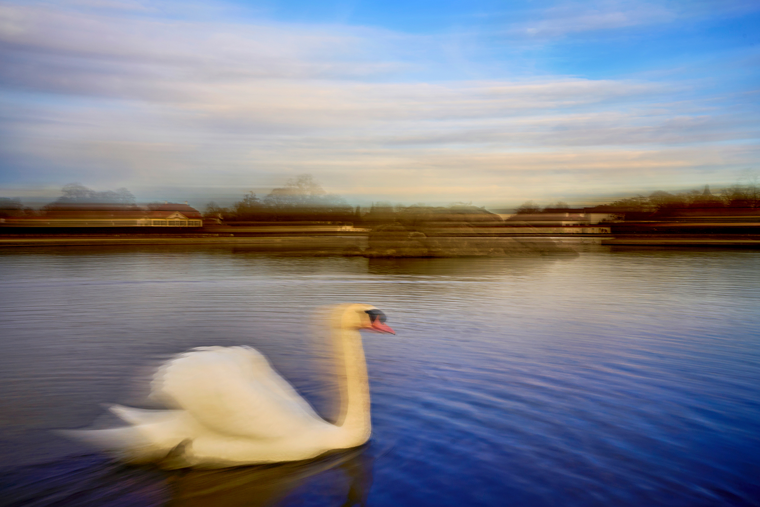 high-speed-swan