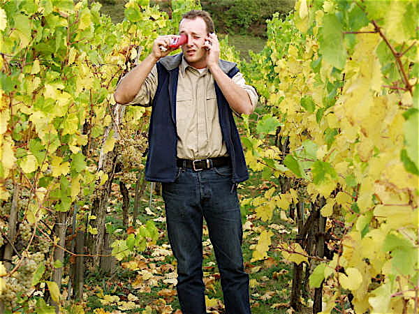 High-tech harvest, Austrian style