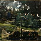 Highbury allotments in winter 2