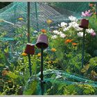 Highbury allotments jesmond