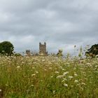 Highclere Castle