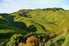 Highcliff Road View