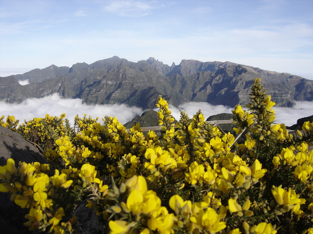 Highest Mountains of Madeira Island
