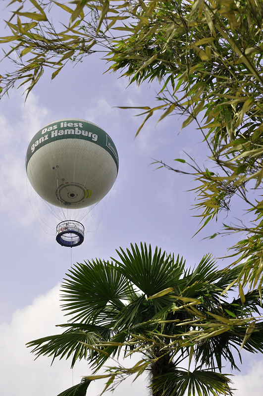 HighFlyer Fesselballon und Palmen