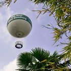 HighFlyer Fesselballon und Palmen