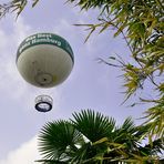 HighFlyer Fesselballon und Palmen