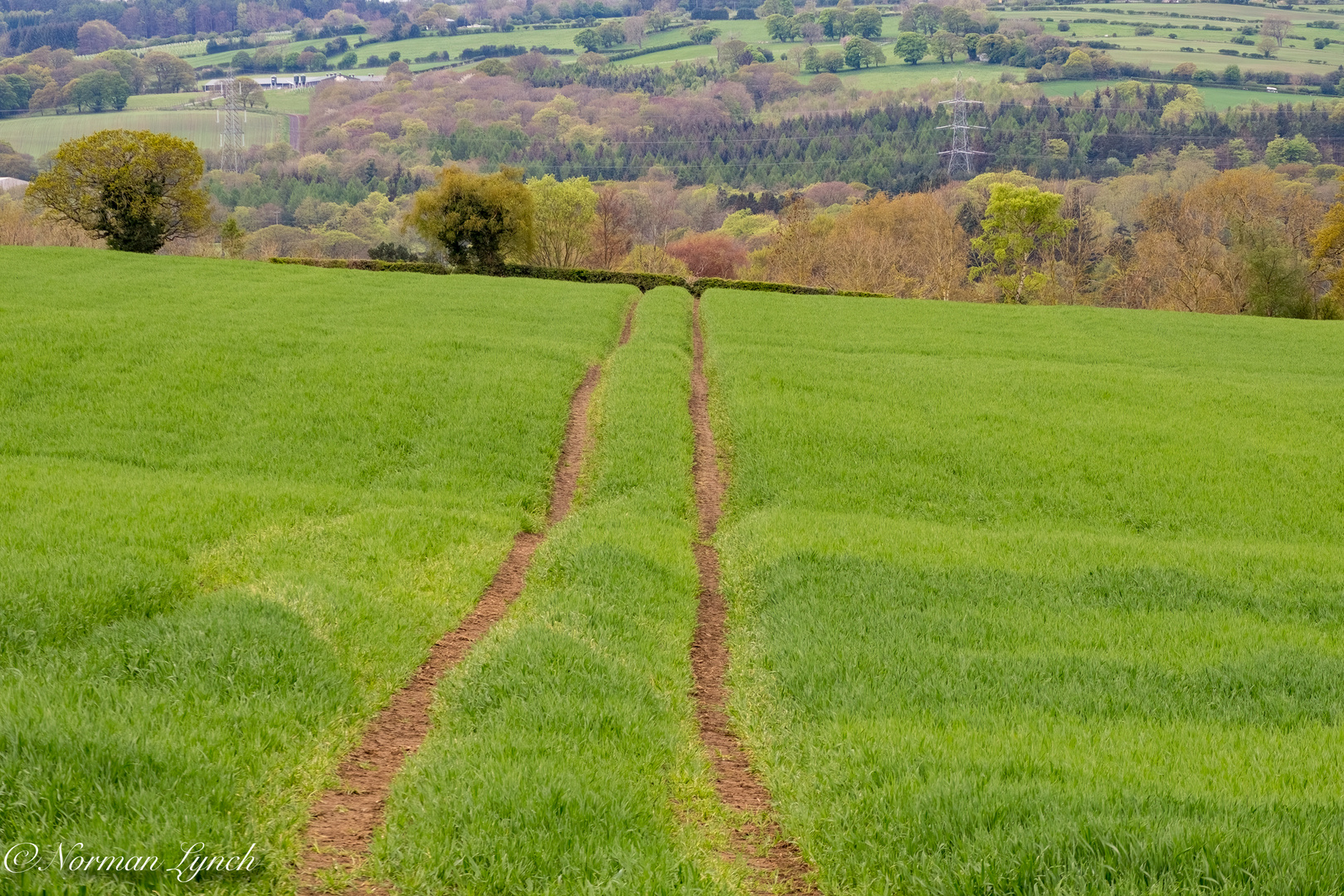 Highfryerside 5th May 2022 Tractor tracks