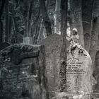 Highgate cemetary