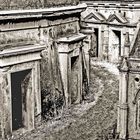 Highgate Cemetary ...