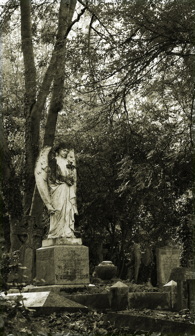 Highgate Cemetary London Angel