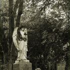 Highgate Cemetary London Angel