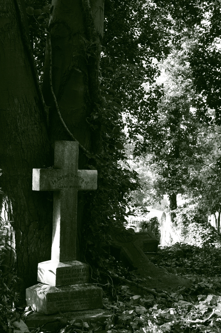 Highgate Cemetary London