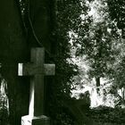 Highgate Cemetary London