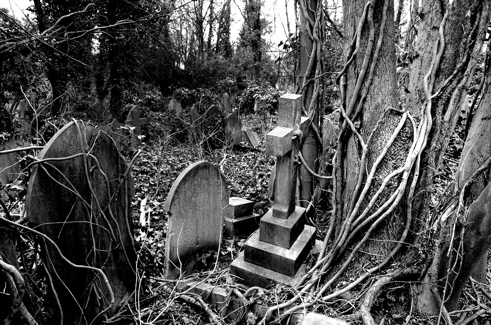 Highgate Cemetery