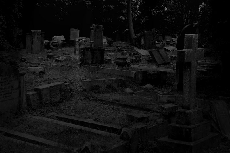 Highgate Cemetery London 1 Foto & Bild