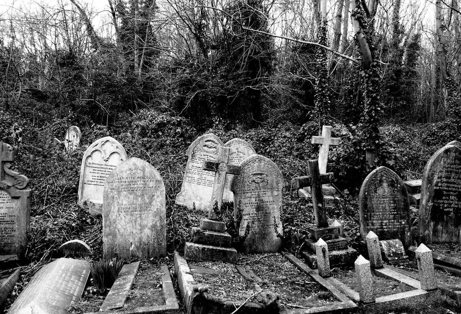 Highgate Cemetery, London