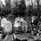 Highgate Cemetery, London