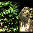 Highgate Cemetry