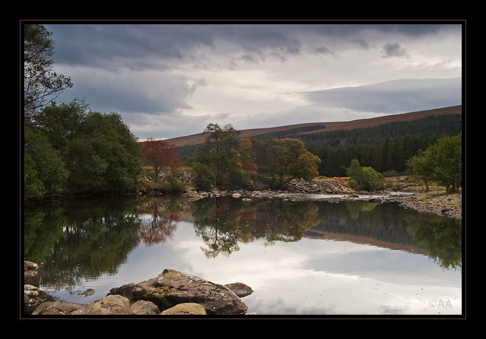 Highland Autumn Colors #4