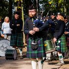 Highland Bagpiper