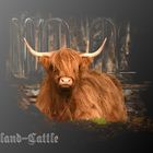 Highland Cattle