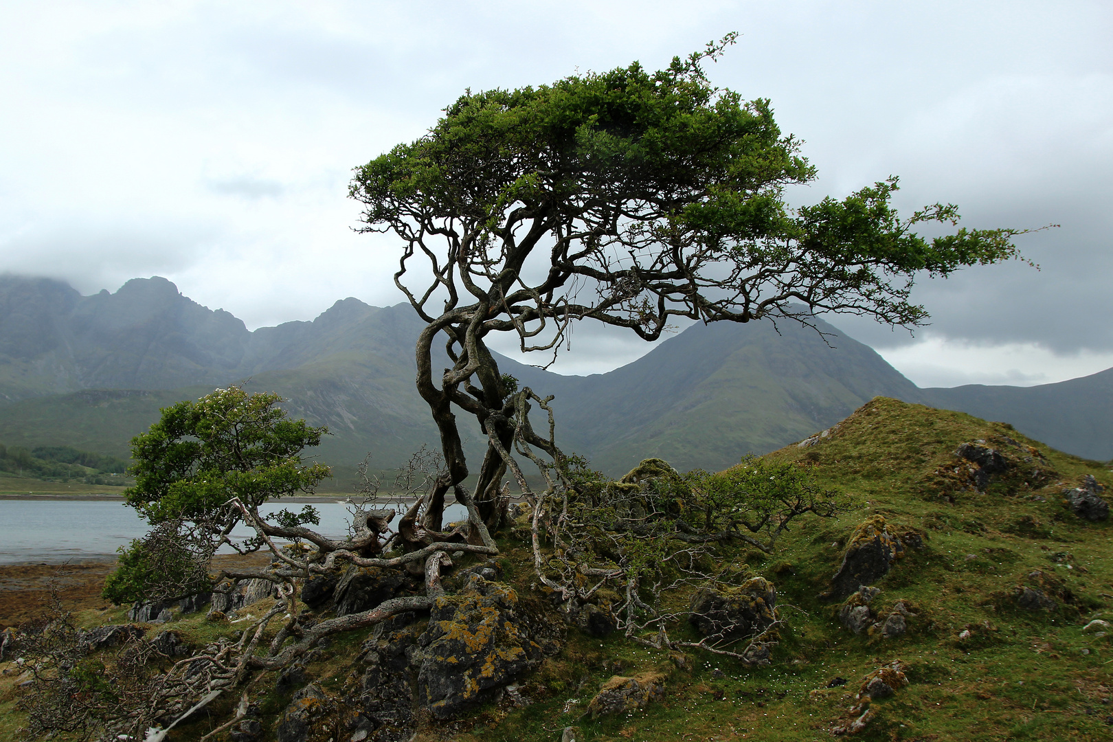 Highland feeling auf Skye