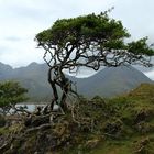 Highland feeling auf Skye