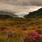 Highland Impressions I