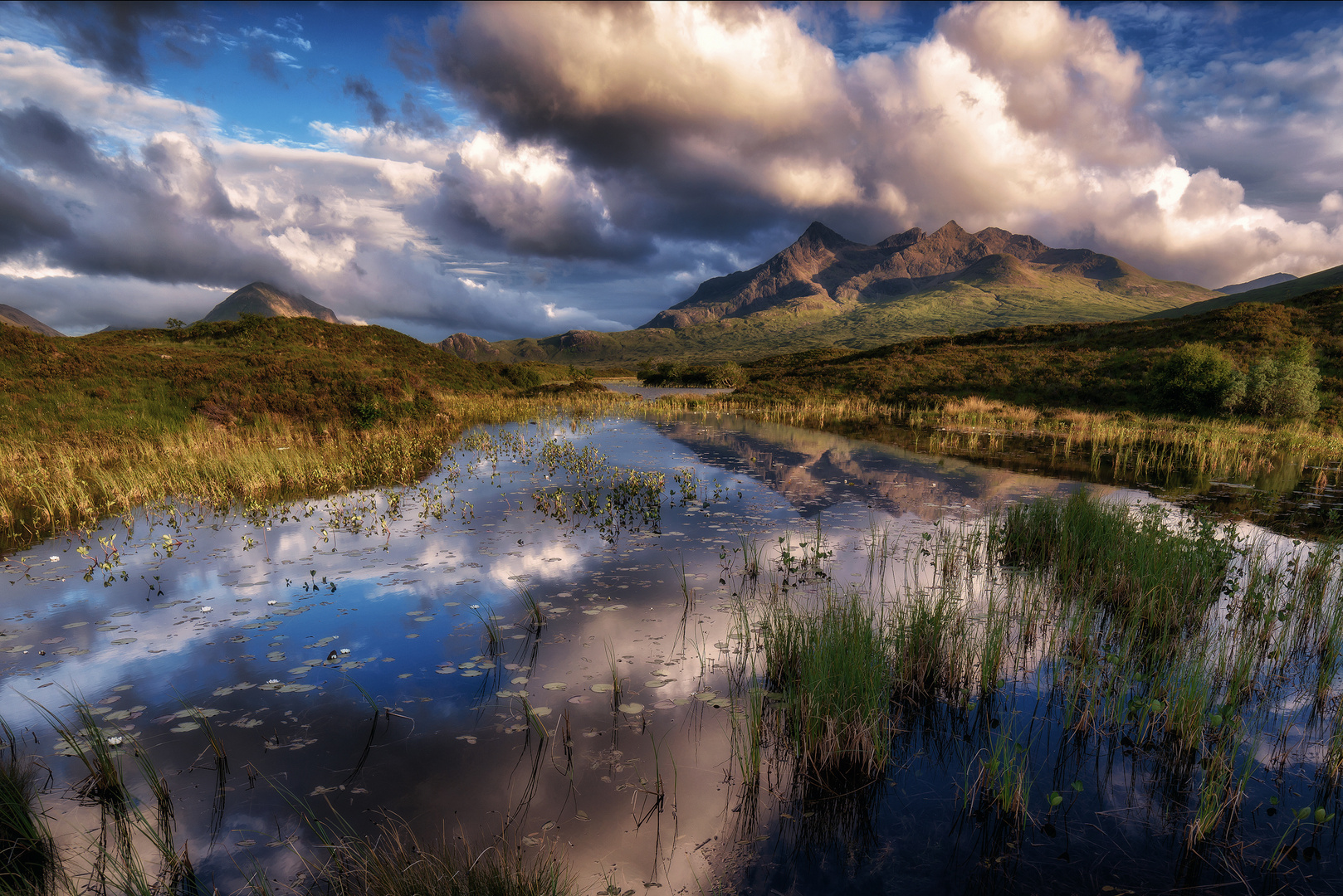 - Highland lily pond -