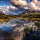 - Highland lily pond -