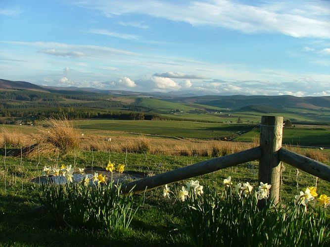 Highland near Dufftown