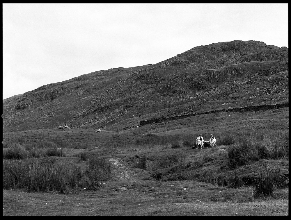 Highland Picnic