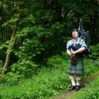 Highland piper