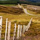 Highlands near Loch Ness