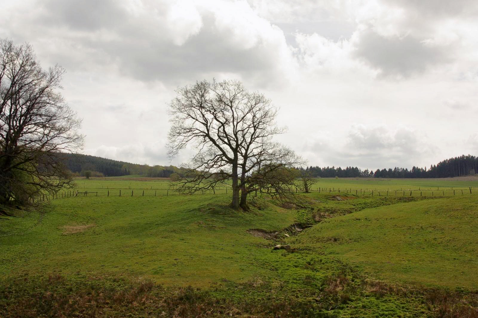 Highlands oder Sauerland?