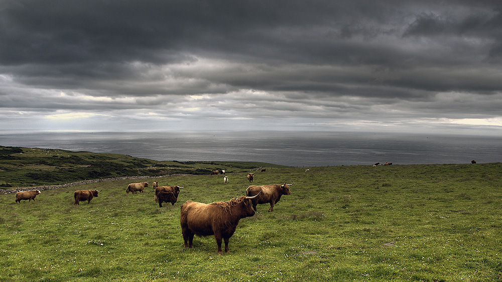 Highlands-Ostküste