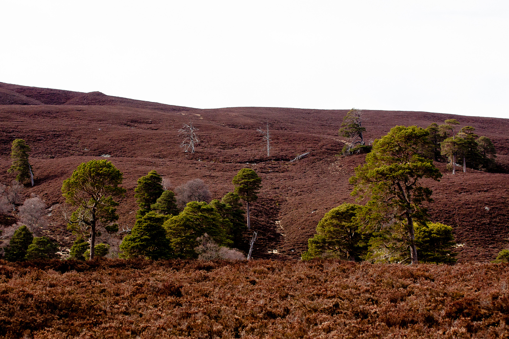 highlands, schottland