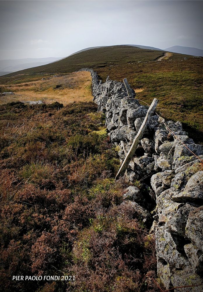Highlands Stone Wall A Sett. 2021 B