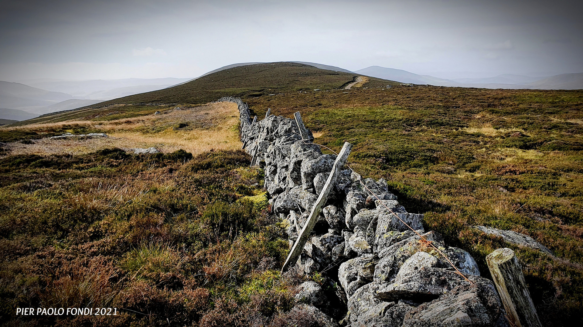 Highlands Stone Wall A Sett. 2021 C