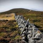 Highlands Stone Wall A Sett. 2021 C