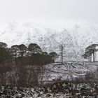 Highlandwinter