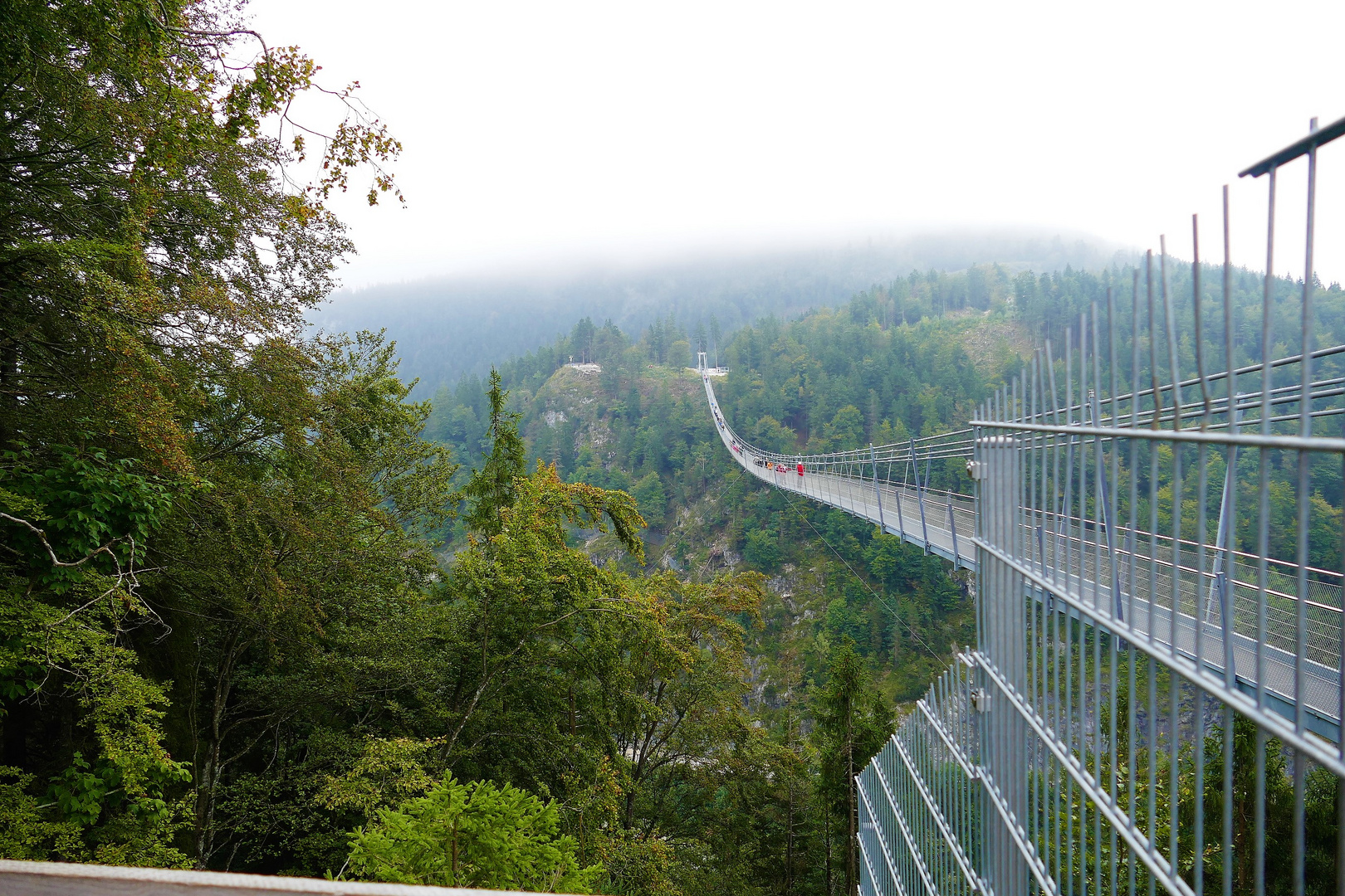 highline 179 / Hängebrücke