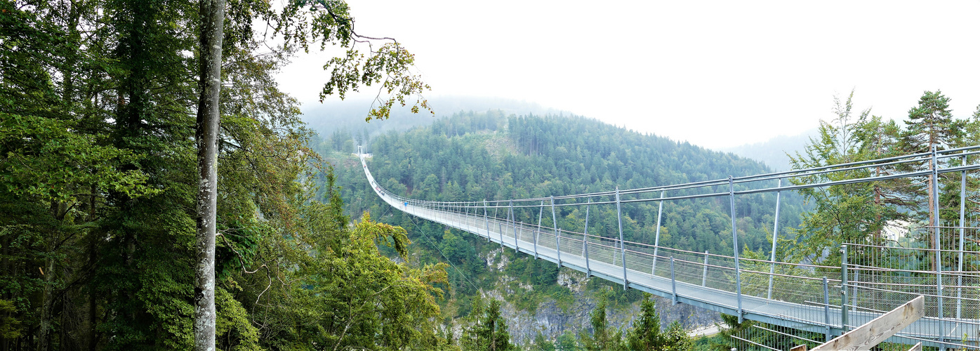 highline 179 / Hängebrücke