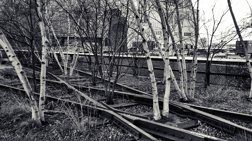 Highline New York