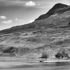 Highly Secret Valley   --   Loch an Loin, Wester Ross ©DSC5433_BW4224p-05_2#1