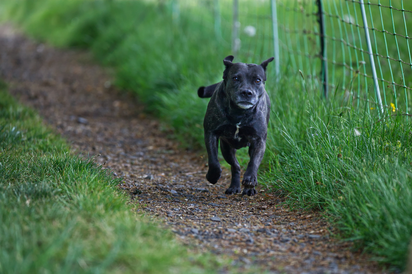 Highspeed Käthe